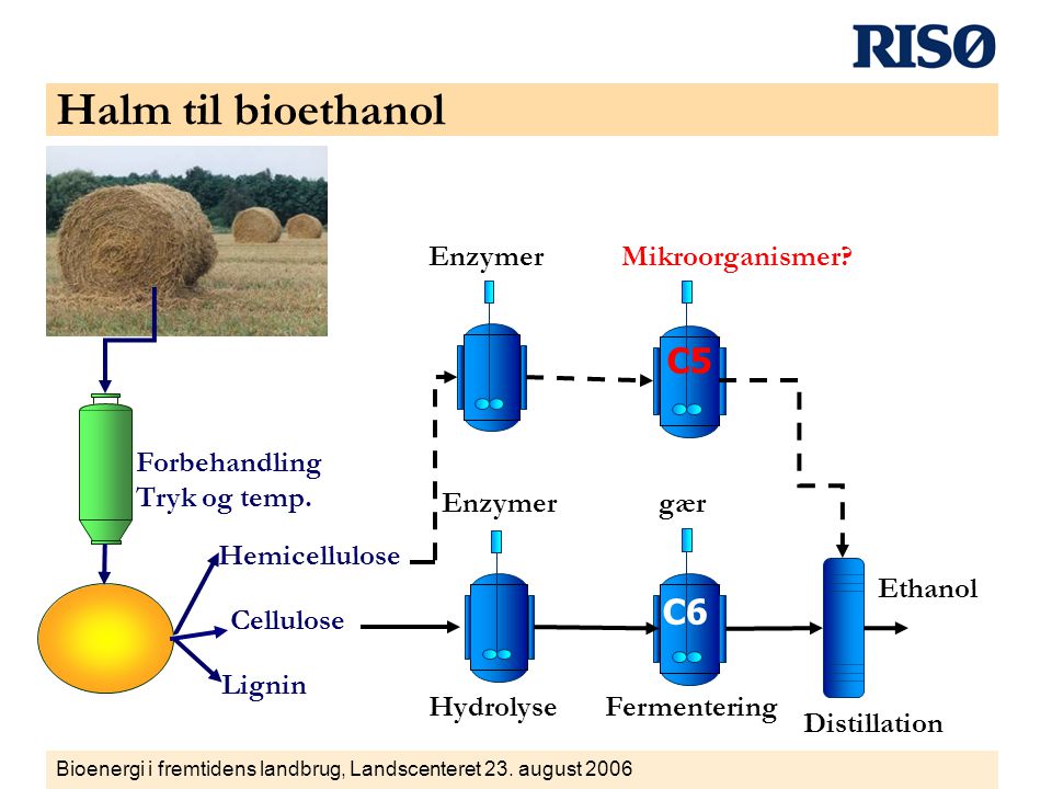 enzymer i bioethanol